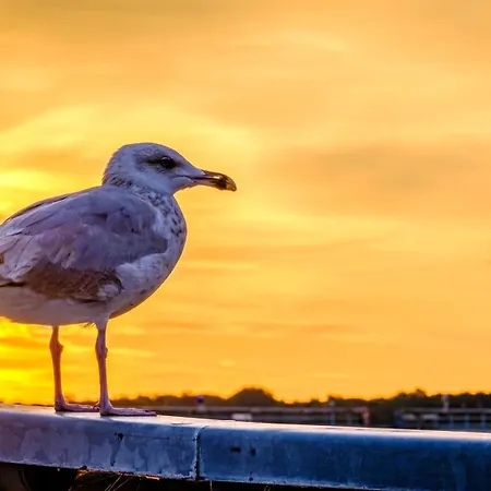 Harbour Side Baltique Travemuende Apartmán *